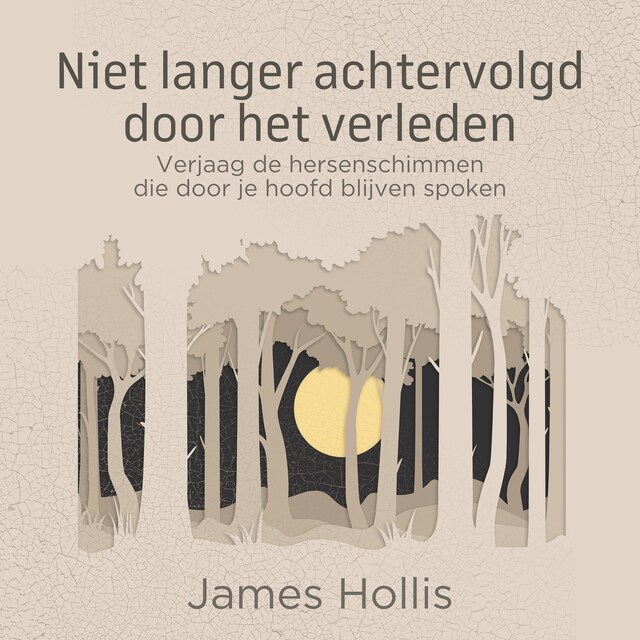 Copertina del libro per Niet langer achtervolgd door het verleden