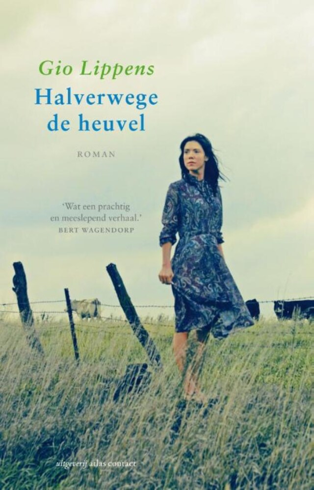 Book cover for Halverwege de heuvel