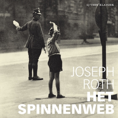 Het spinnenweb - luisterboek