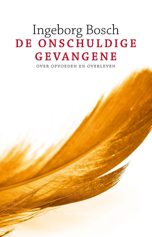 Portada de libro para De onschuldige gevangene