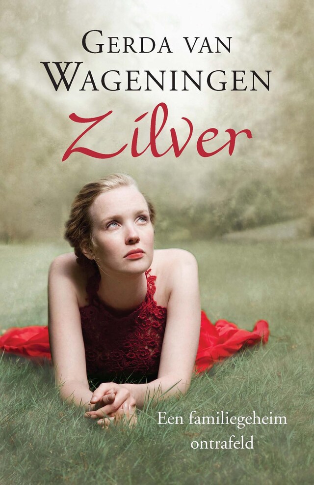 Book cover for Zilver
