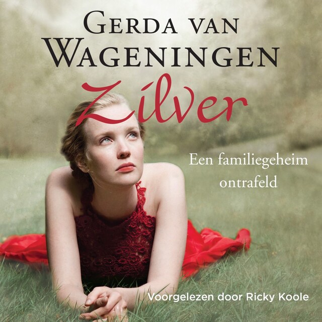 Book cover for Zilver