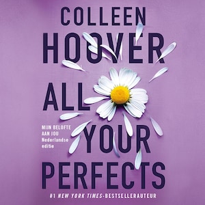 All your perfects - luisterboek