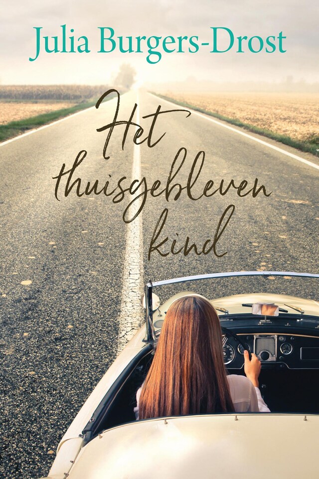 Book cover for Het thuisgebleven kind