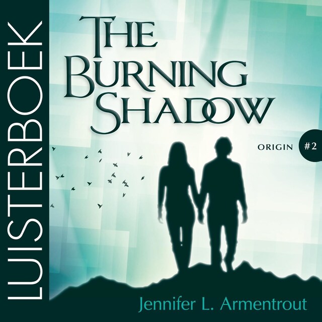 Book cover for The Burning Shadow