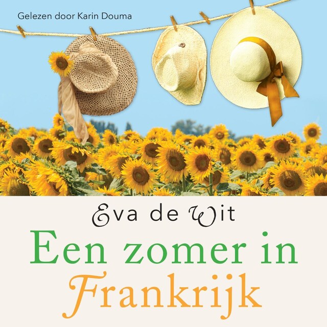 Book cover for Een zomer in Frankrijk