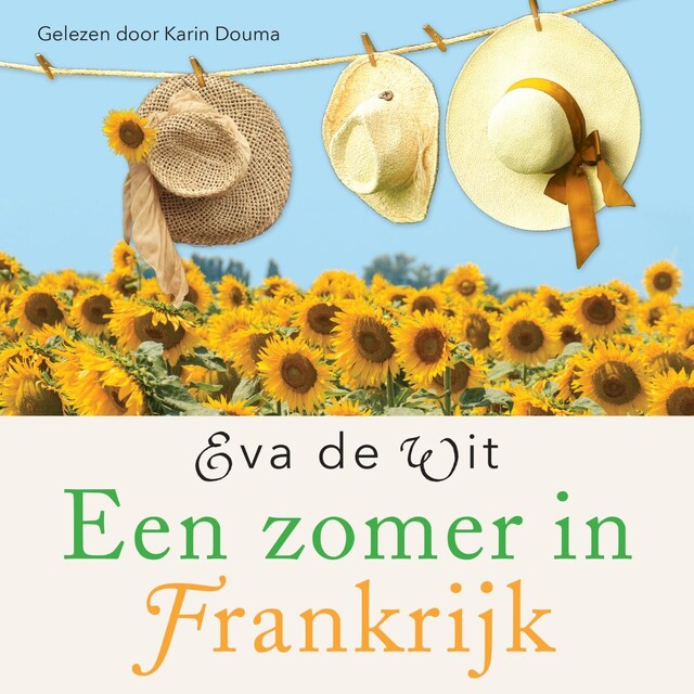 Kirjankansi teokselle Een zomer in Frankrijk