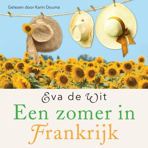 Een zomer in Frankrijk - luisterboek