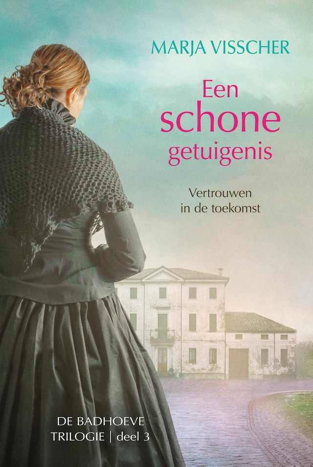 Buchcover für Een schone getuigenis