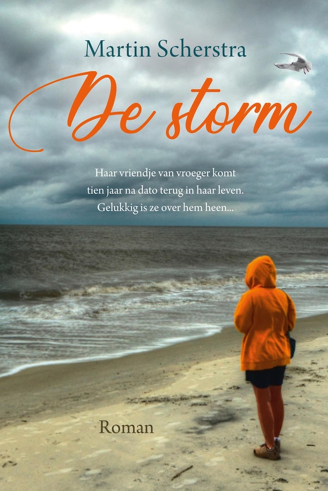 Buchcover für De storm