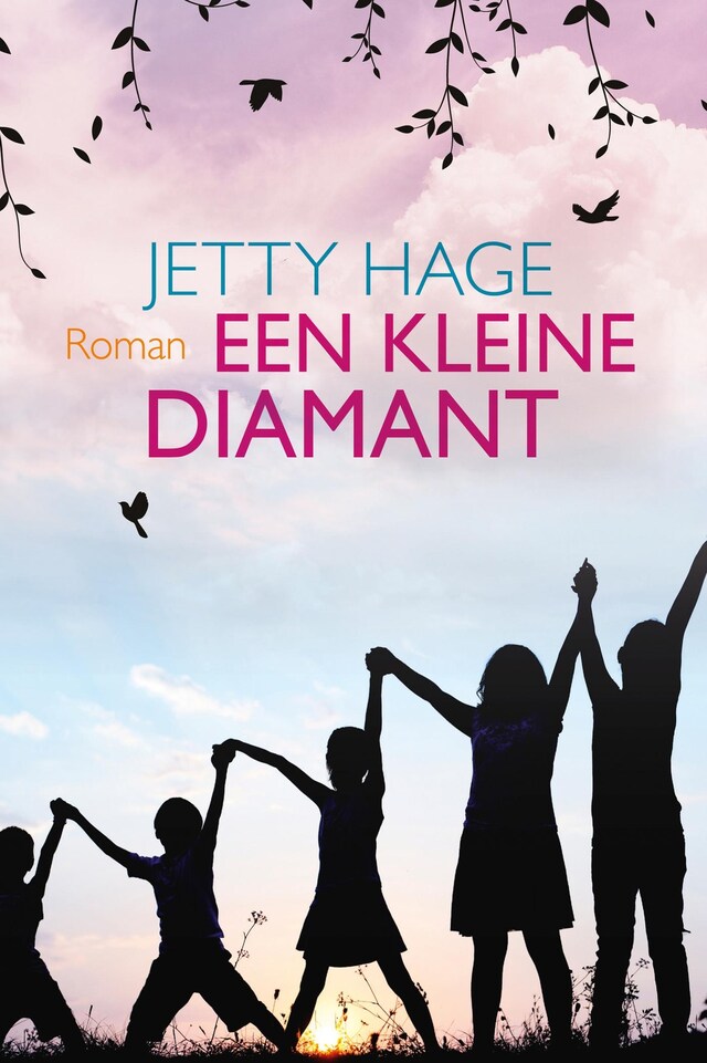 Book cover for Een kleine diamant