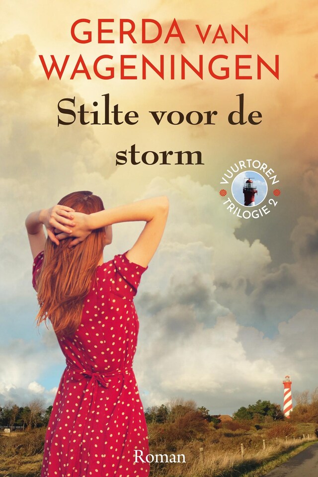 Book cover for Stilte voor de storm