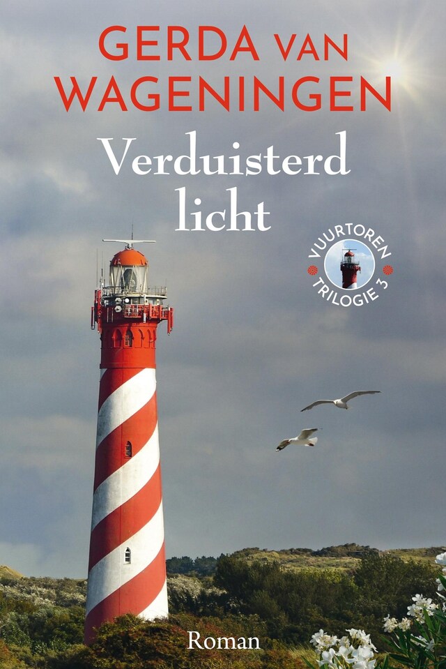 Book cover for Verduisterd licht