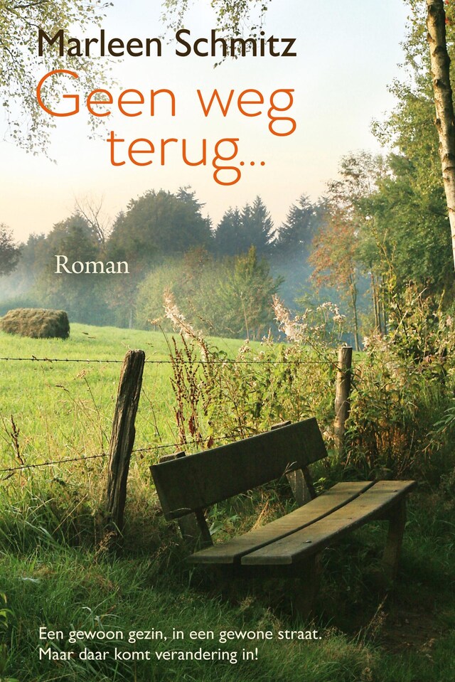 Portada de libro para Geen weg terug