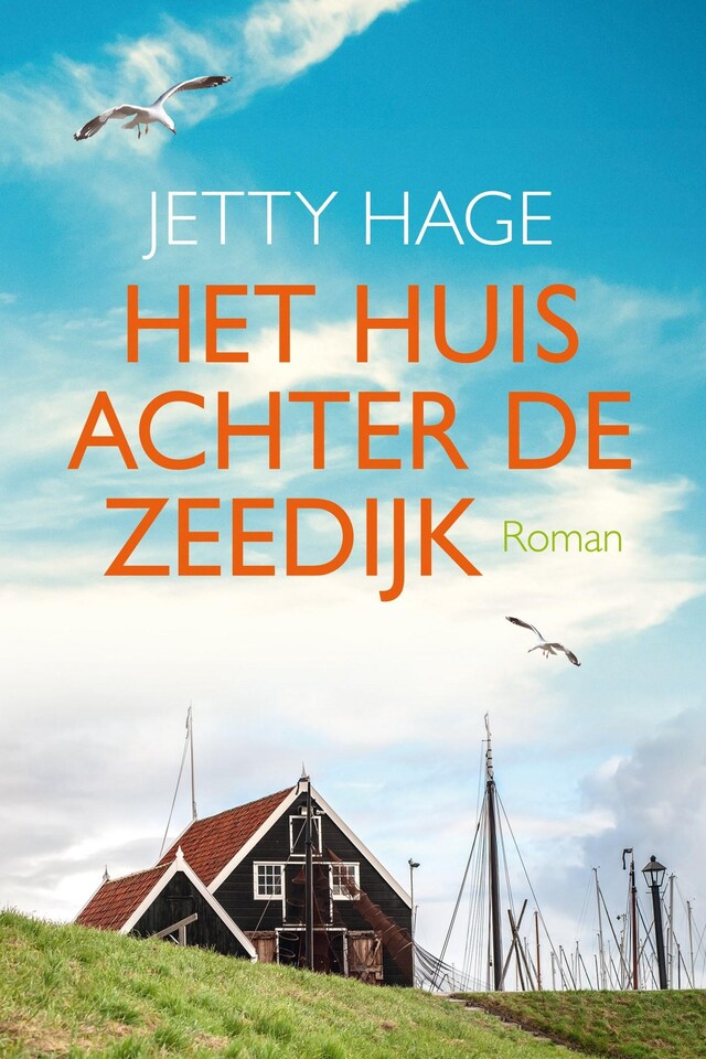 Book cover for Het huis achter de zeedijk