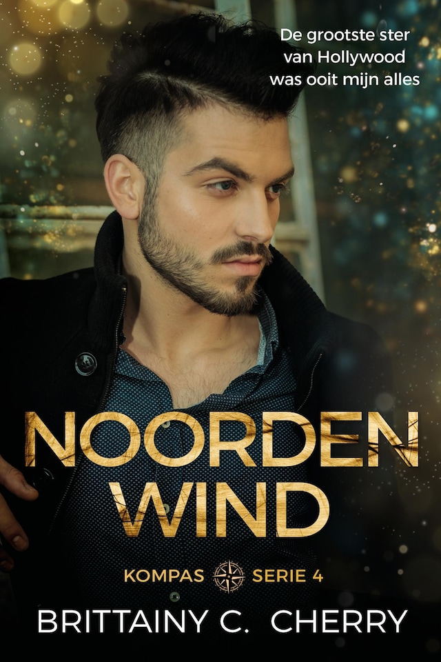 Book cover for Noordenwind