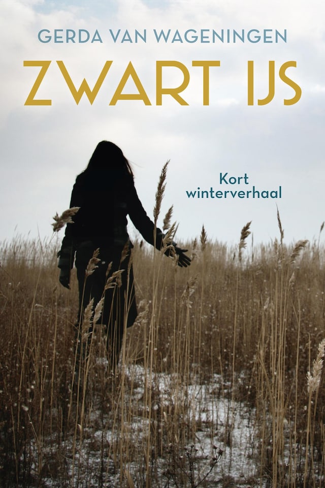 Book cover for Zwart ijs