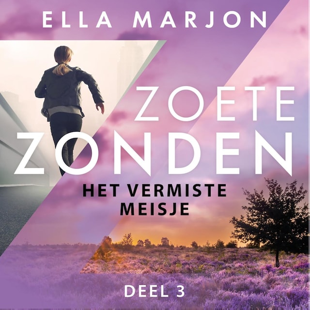 Book cover for Het vermiste meisje