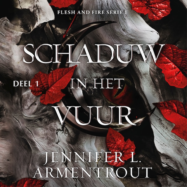 Book cover for Schaduw in het vuur (deel 1)