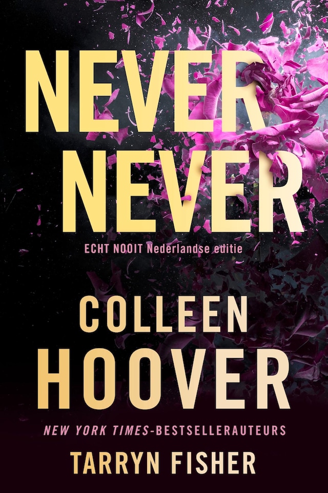 Book cover for Never never