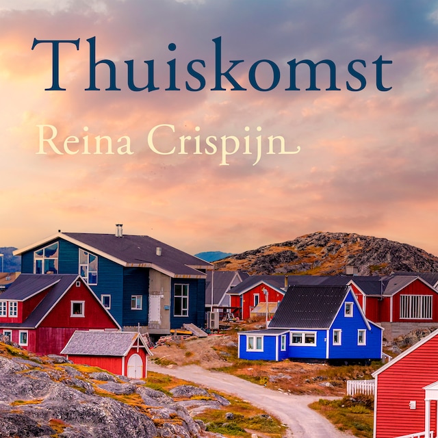 Book cover for Thuiskomst
