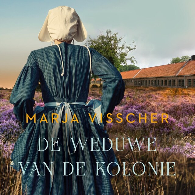 Book cover for De weduwe van de kolonie