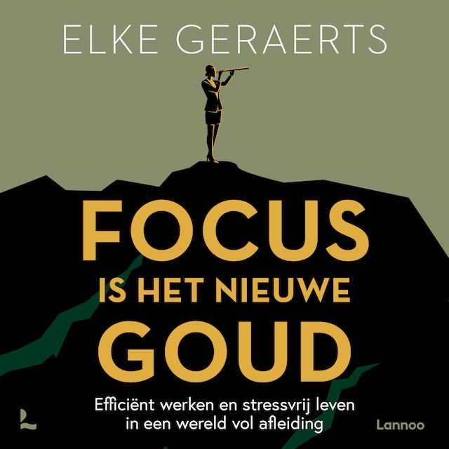 Book cover for Focus is het nieuwe goud