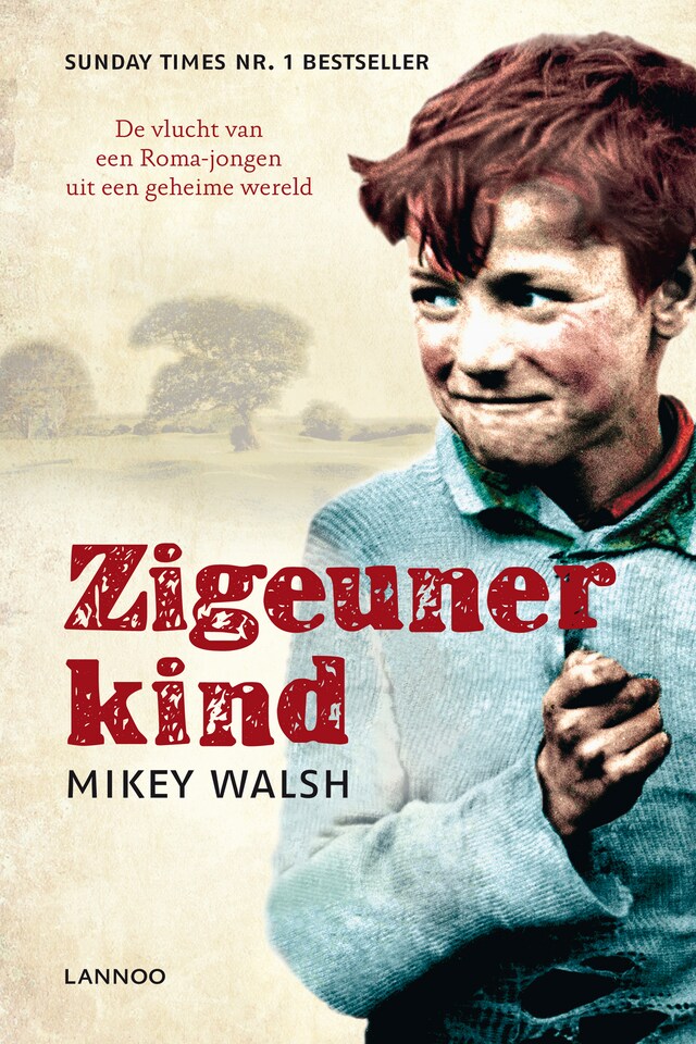 Book cover for Zigeunerkind