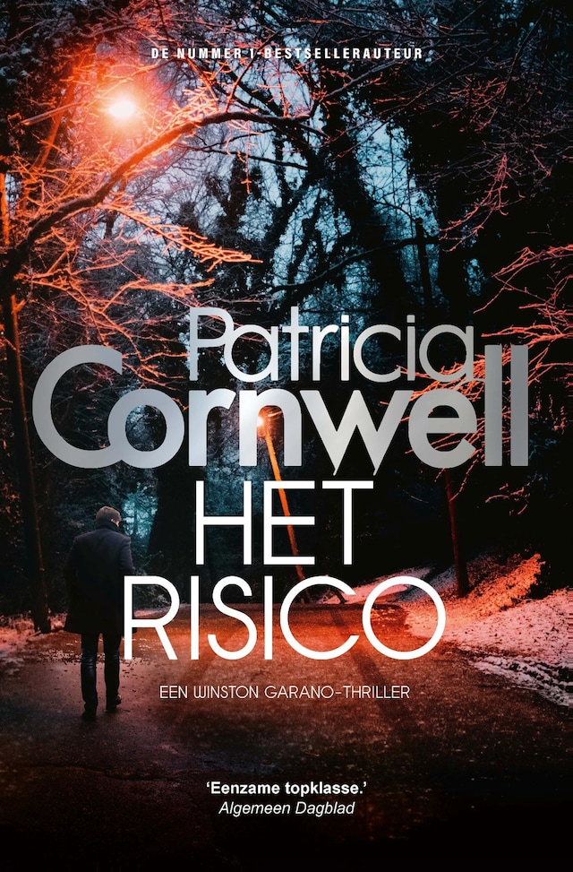 Book cover for Het risico