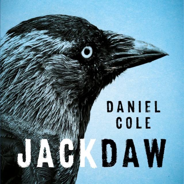 Book cover for Jackdaw