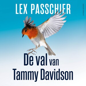 De val van Tammy Davidson - luisterboek