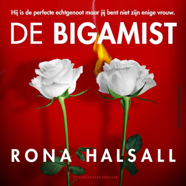 Book cover for De bigamist