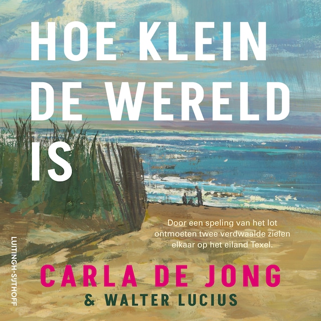 Book cover for Hoe klein de wereld is