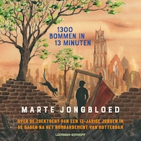 1300 bommen in 13 minuten