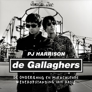 De Gallaghers - luisterboek
