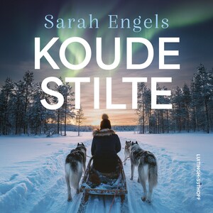 Koude stilte - luisterboek