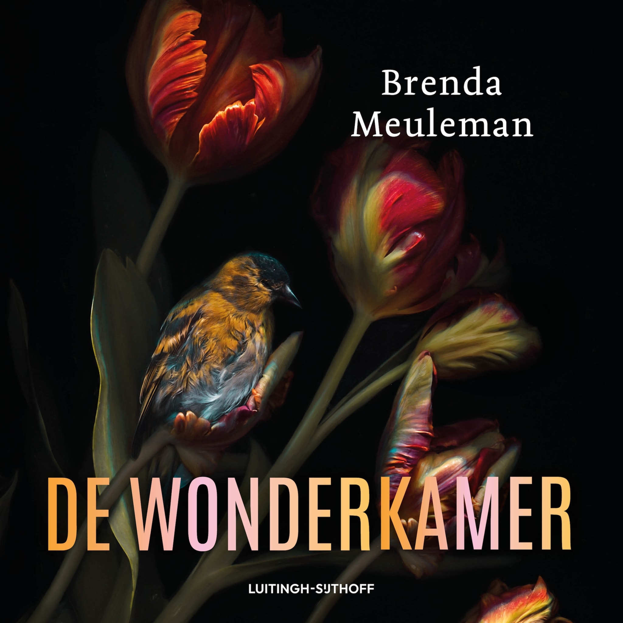 De wonderkamer - luisterboek