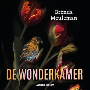 De wonderkamer - luisterboek