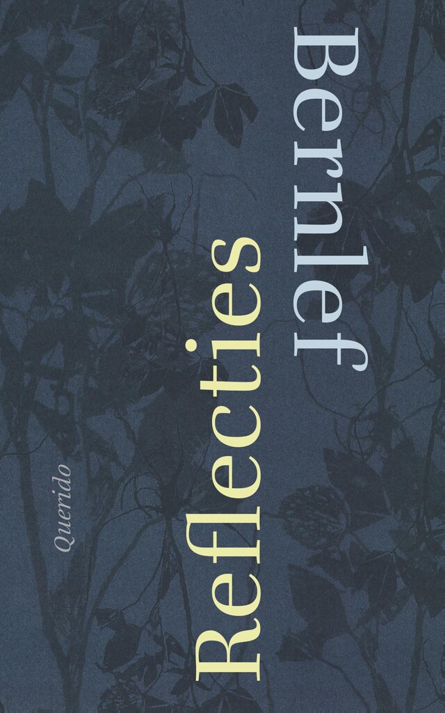 Book cover for Reflecties