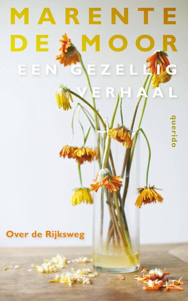 Book cover for Over de Rijksweg