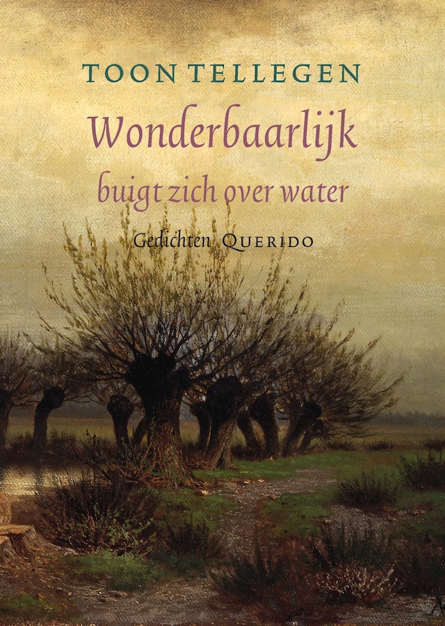 Okładka książki dla Wonderbaarlijk buigt zich over water