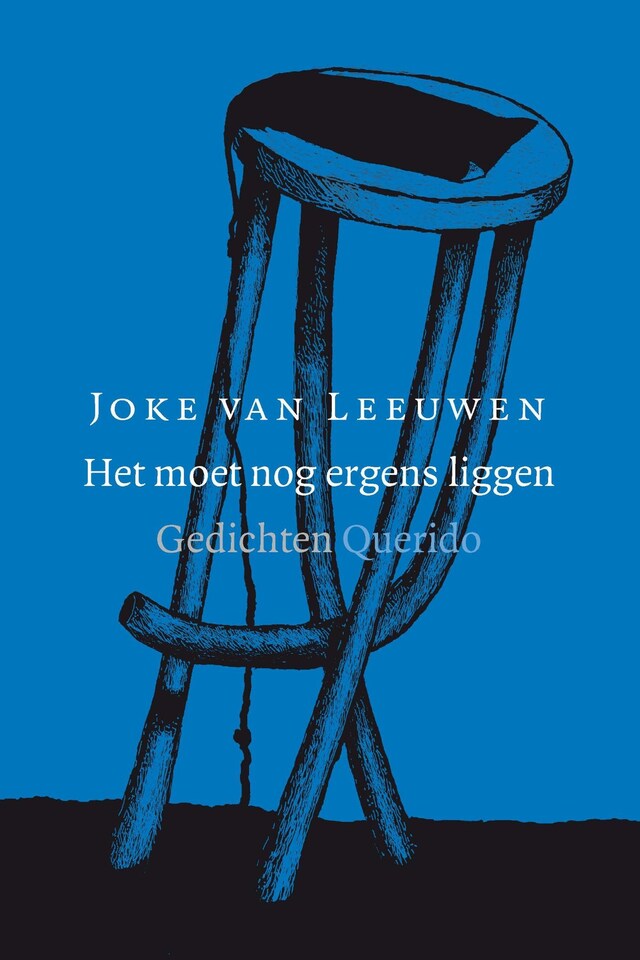 Book cover for Het moet nog ergens liggen