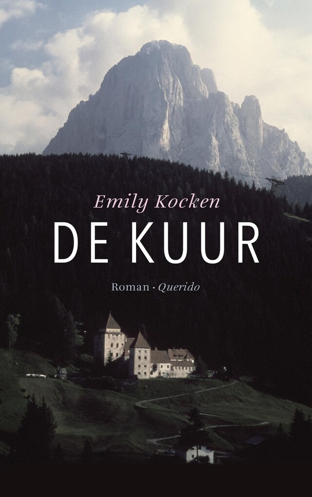 Buchcover für De kuur