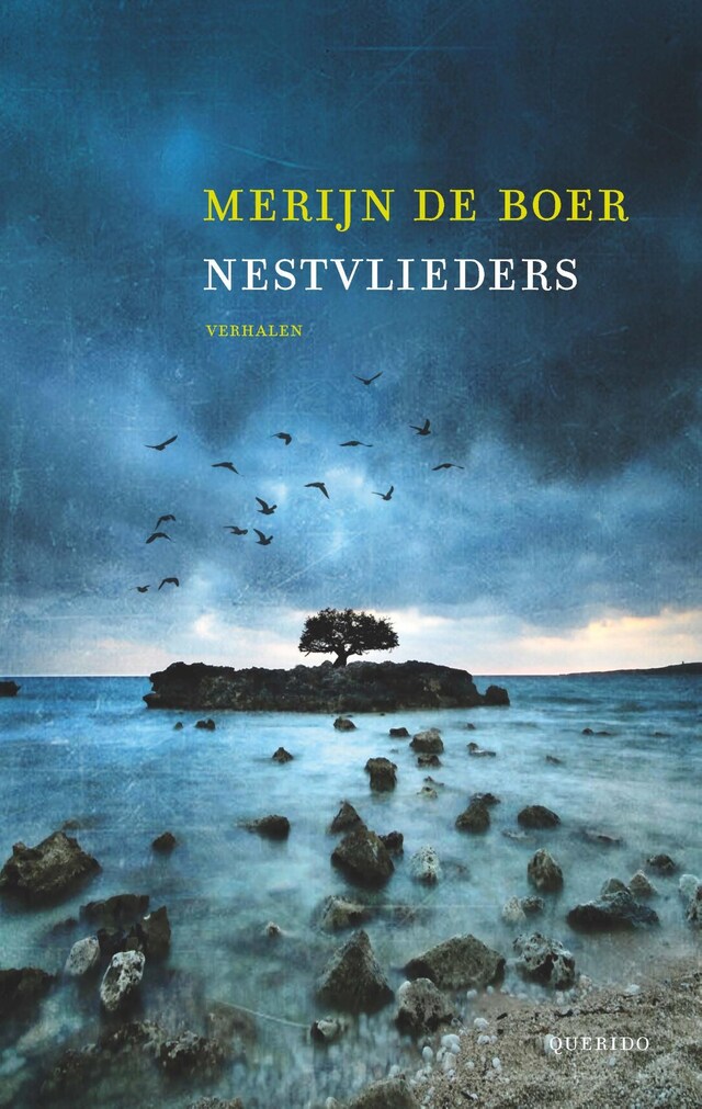 Couverture de livre pour Nestvlieders