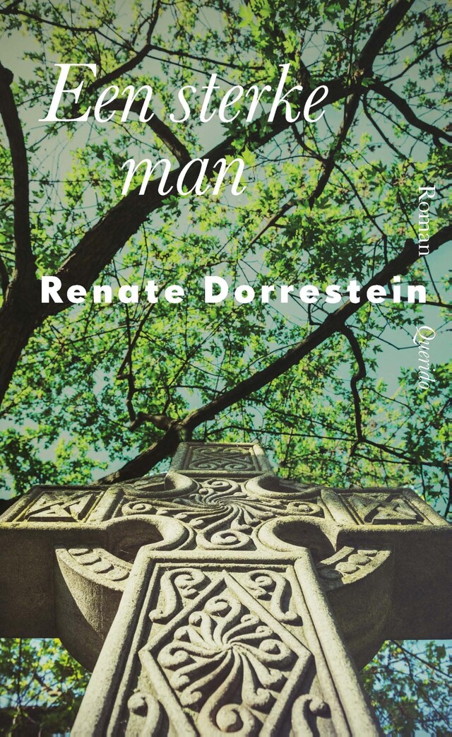 Book cover for Een sterke man