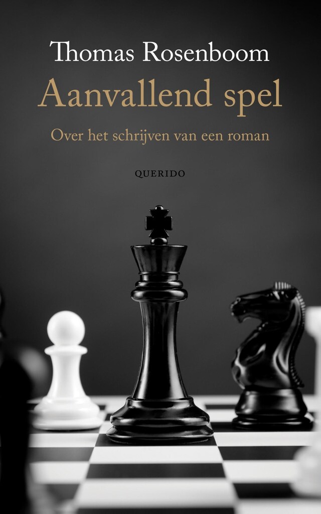 Buchcover für Aanvallend spel