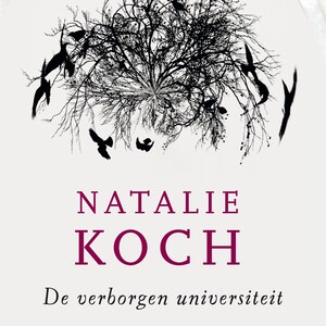 De erfenis van Richard Grenville - luisterboek