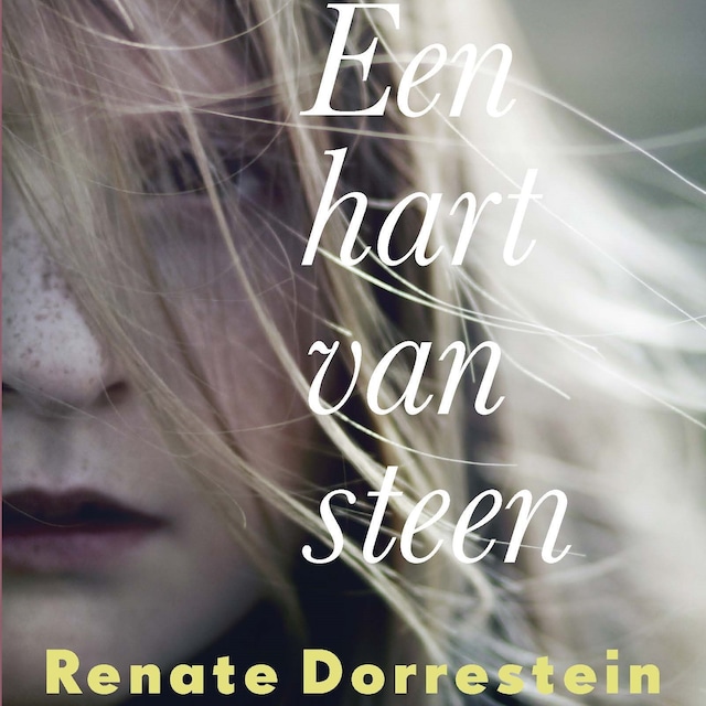 Book cover for Een hart van steen