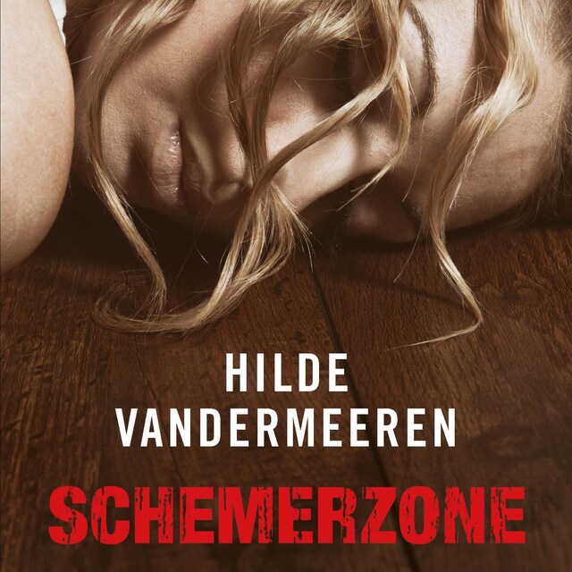 Buchcover für Schemerzone