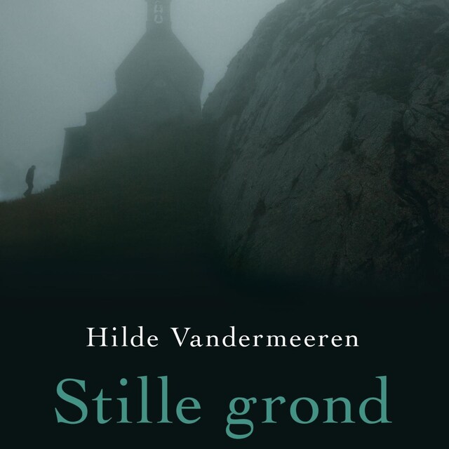Book cover for Stille grond